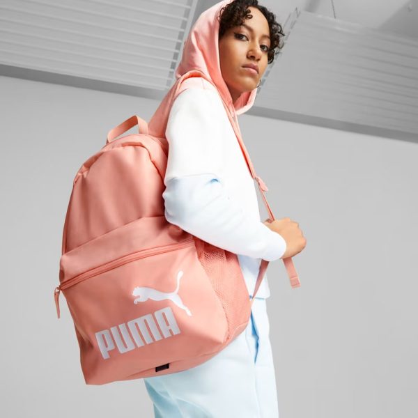Спортивний рюкзак Puma Phase Backpack | 22 л.