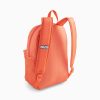 Спортивний рюкзак Puma Phase Backpack | 22 л.