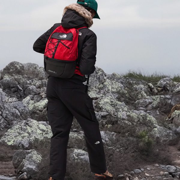 Складний рюкзак The North Face Borealis Convertible Pack | 17 л
