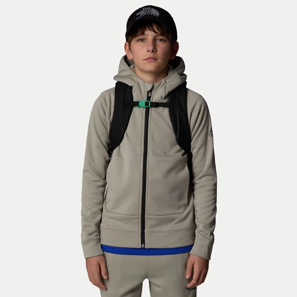 The North Face рюкзак підлітковий TNF Court Jester | 24 л.